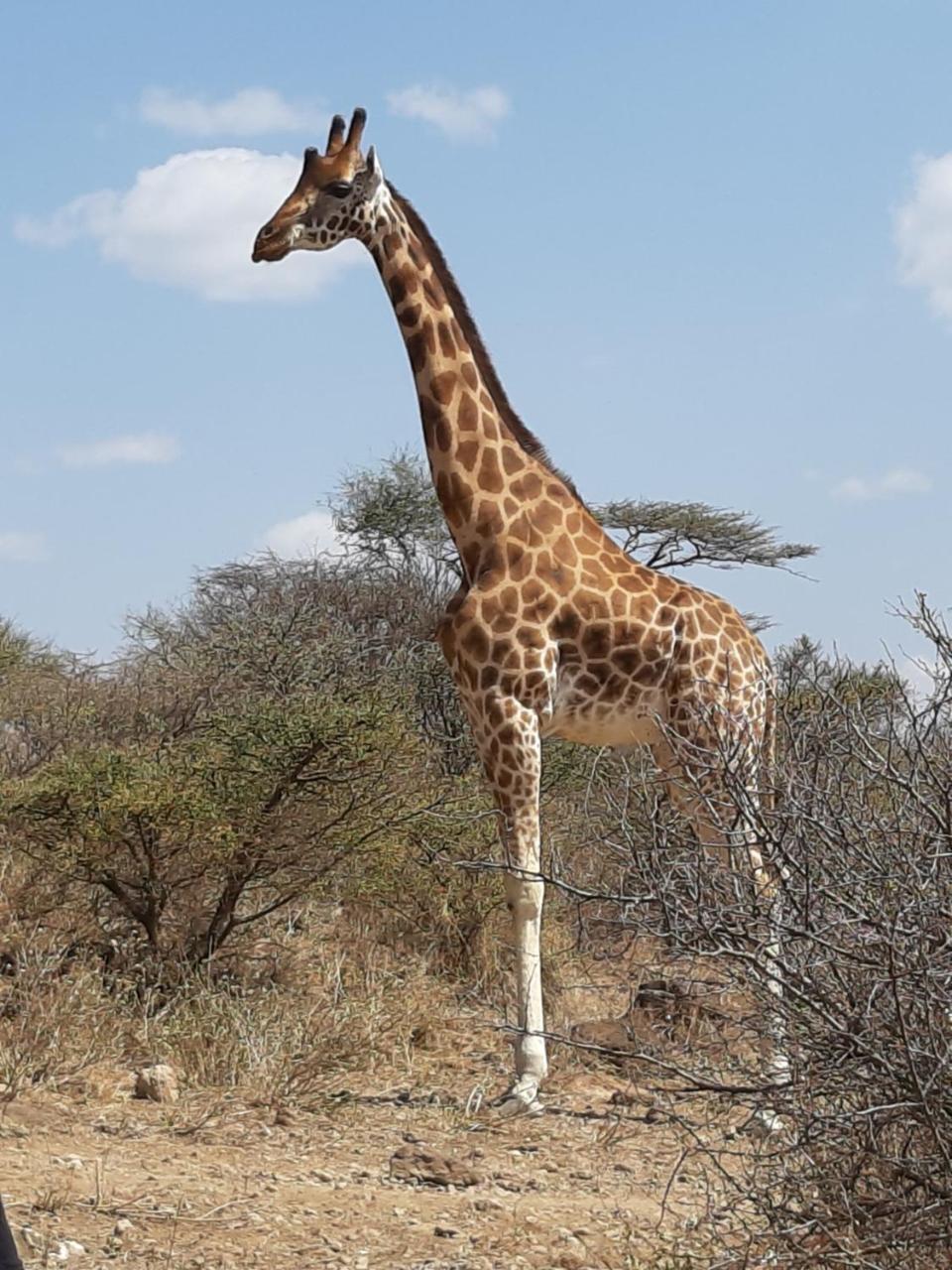 Sandai Resort Lake Baringo Ol Kokwe المظهر الخارجي الصورة